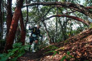 BIB: 
                            <button type="button" onclick="openModal(26345883)" class="btn btn-primary btn-sm float-right btn-popup" data-toggle="modal" data-target=".modal-high-quality">
                        <i class="fas fa-shopping-cart"></i> Add to Cart
                    </button>
                                            <button type="button" onclick="isThisMe(26345883, true)" class="btn btn-success btn-sm float-right btn-popup btn-isme hidden" data-toggle="tooltip" data-placement="bottom" title="นี่คือรูปของคุณใช่ไหม คลิกที่นี่เพื่อเอาเข้าอัลบั้ม">
                        <i class="fas fa-plus"></i> Add to album
                    </button>
                    <button type="button" onclick="isThisMe(26345883, false)" class="btn btn-warning btn-sm float-right btn-popup btn-isnotme hidden">
                        <i class="fas fa-ban"></i> Remove from album
                    </button>